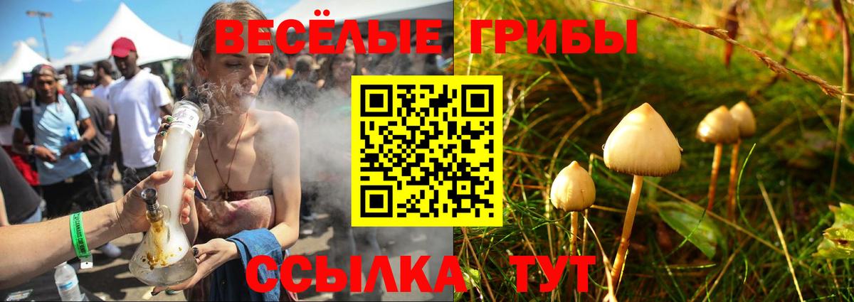 наркотики  Галлюциногенные грибы MAGIC MUSHROOMS  Вход с VPN  Туапсе  Галлюциногенные грибы MAGIC MUSHROOMS 
